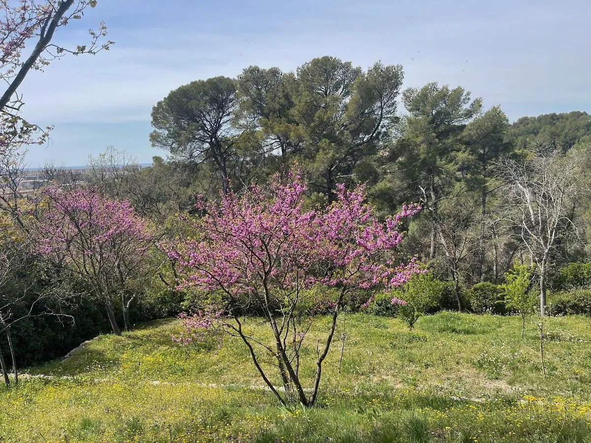 Lägenhet Appart13 Piscine Chauffee De Luxe Belvoir13 A 10 Min D Aix Aix-en-Provence Frankrike