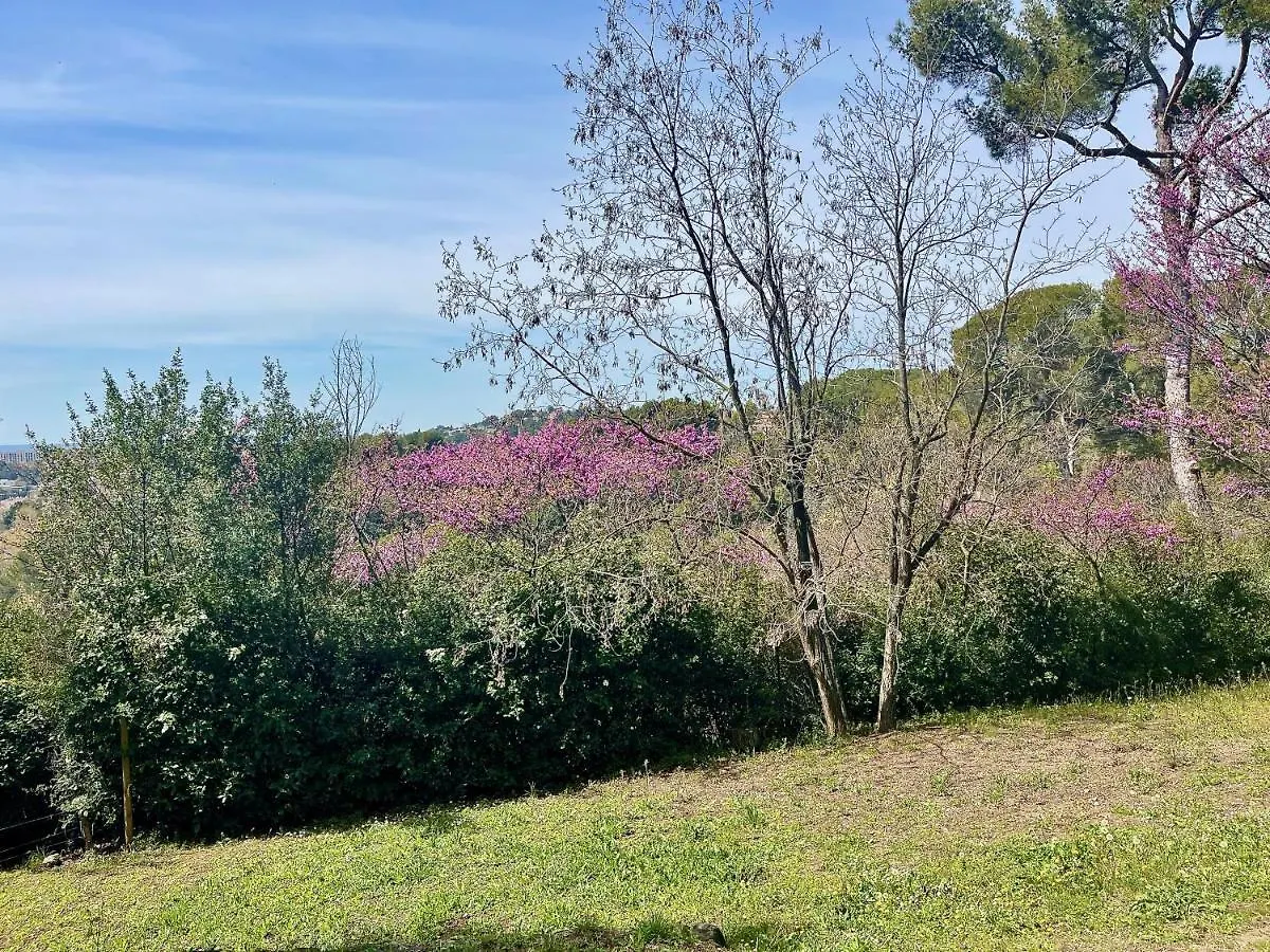 Appart13 Piscine Chauffee De Luxe Belvoir13 A 10 Min D Aix Aix-en-Provence