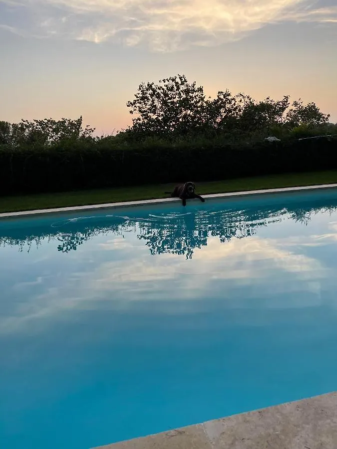 Apartment Appart13 Piscine Chauffee De Luxe Belvoir13 A 10 Min D Aix Aix-en-Provence