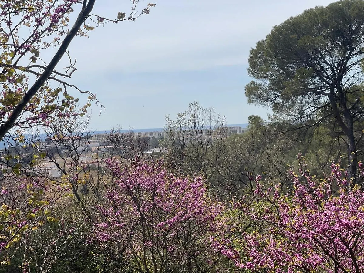 Appart13 Piscine Chauffee De Luxe Belvoir13 A 10 Min D Aix Aix-en-Provence