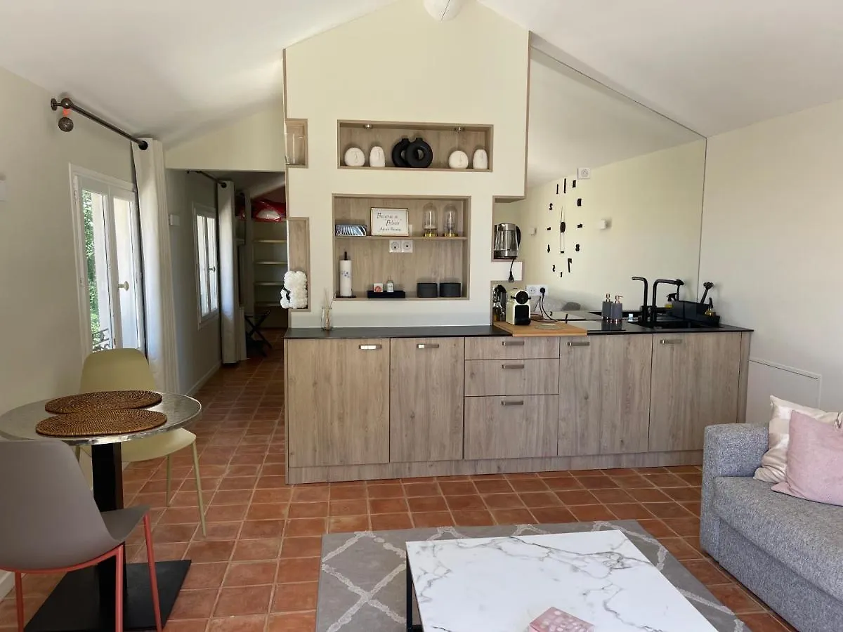 Apartment Appart13 Piscine Chauffee De Luxe Belvoir13 A 10 Min D Aix Aix-en-Provence